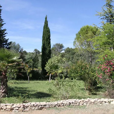 Mazet Du C'riquet *