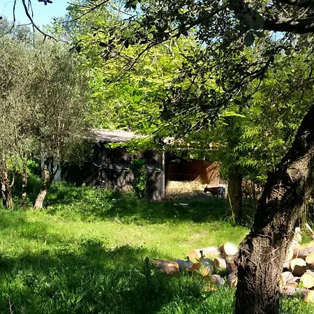 Mazet Du C'riquet Casa de Férias Nîmes